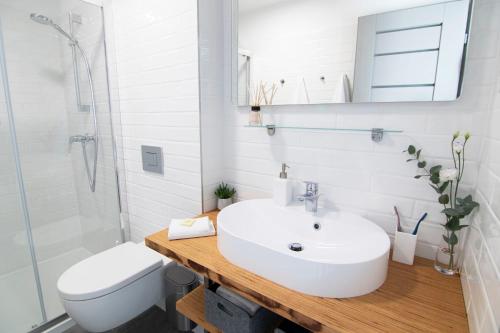 包道乔尼托毛伊P19 Boutique Villa Badacsony的白色的浴室设有水槽和卫生间。