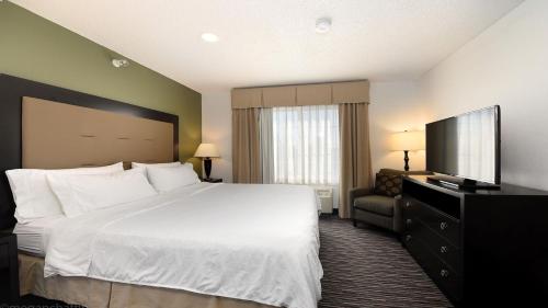 RiverwoodsHoliday Inn Express & Suites Chicago-Deerfield Lincolnshire, an IHG Hotel的配有一张床和一台平面电视的酒店客房