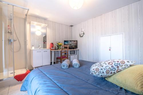 FrancinLa Savouè - Chambre的一间卧室配有蓝色的床和淋浴