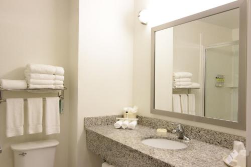 蒙哥马利智选假日套房酒店的一间浴室
