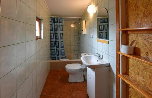Ośrodek Wypoczynkowy Stadnina Koni Kaszubski Bór的一间浴室