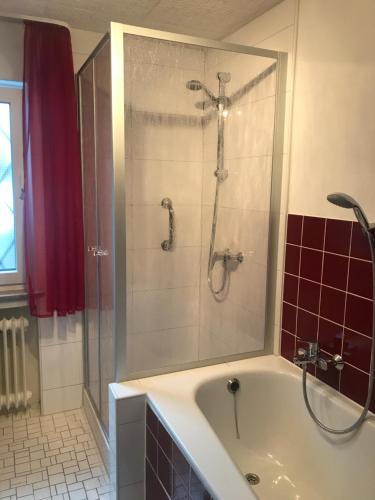 迪伦堡Ferienwohnung Westerwaldblick Dillenburg的一间带浴缸和淋浴的浴室,配有玻璃门