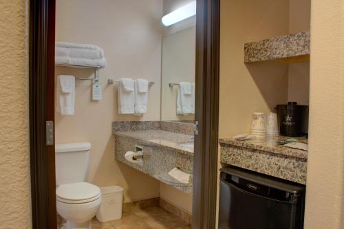 KremmlingAllington Inn & Suites Kremmling的一间带卫生间、水槽和镜子的浴室