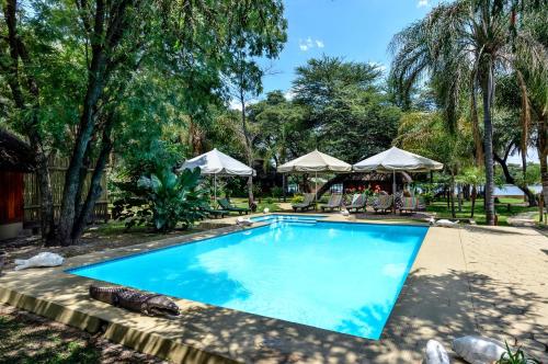 龙杜Hakusembe River Campsite的一个带树木和遮阳伞的庭院内的游泳池