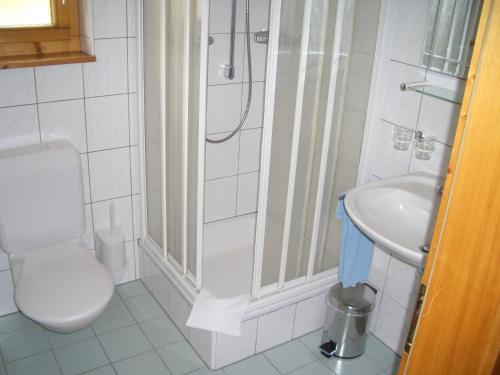 上瓦尔德阿尼酒店的一间带卫生间和水槽的浴室