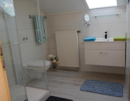 罗斯豪普滕德意志公寓的带淋浴、卫生间和盥洗盆的浴室