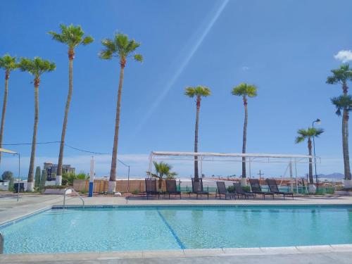 圣费利佩Hotel Las Palmas的一座棕榈树环绕的游泳池