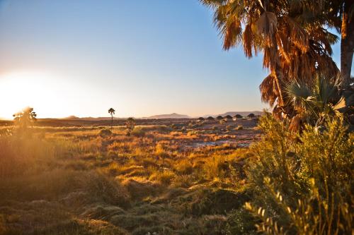 Palmwag Campsite