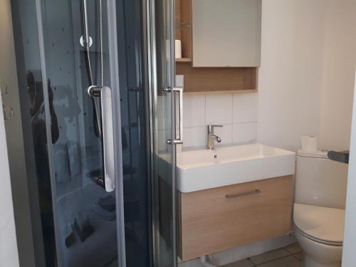 Savigny-LévescaultLe Corto的带淋浴、盥洗盆和卫生间的浴室