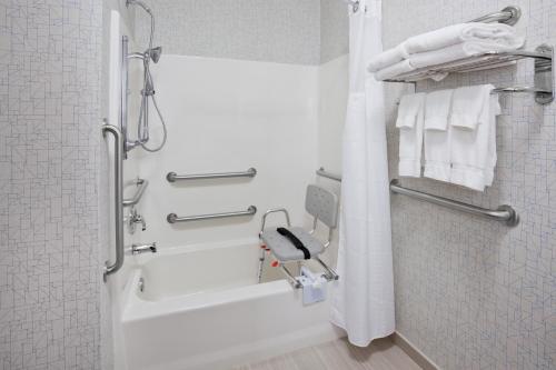 Holiday Inn Express & Suites - Dickinson, an IHG Hotel的一间浴室