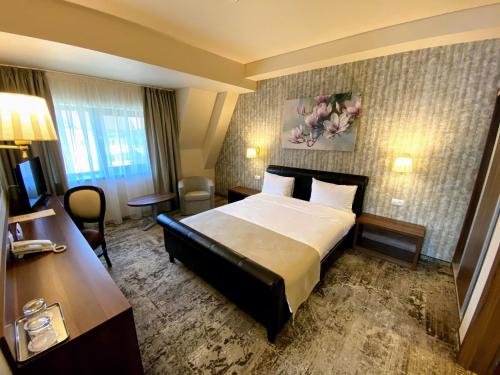 雅西阿瑞尼亚酒店的配有一张床和一张书桌的酒店客房