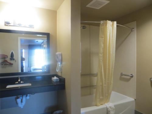 小石城花园汽车旅馆的带淋浴、盥洗盆和镜子的浴室