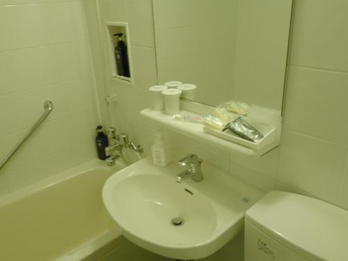 大阪大阪城广场的一间带水槽、卫生间和镜子的浴室