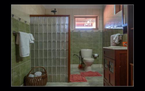 Santa Cruz火地岛米欧住宿加早餐旅馆的带淋浴、卫生间和盥洗盆的浴室
