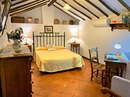 扎哈拉Acogedora casa rural en Zahara de la Sierra的卧室配有一张床和一张桌子及椅子