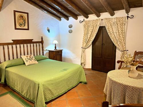 扎哈拉Casa rural familiar en el pueblo de Zahara de la Sierra的一间卧室配有一张绿色的床和一张桌子