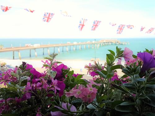 迪尔Dunkerley's Hotel and Restaurant的紫色花和码头的海滩景色