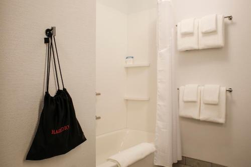 埃文斯维尔Holiday Inn Express - Evansville, an IHG Hotel的浴室墙上挂着黑色袋子