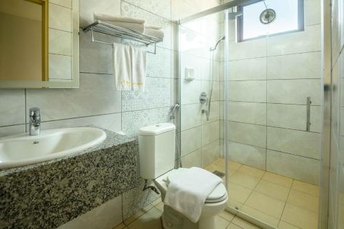 斯里巴加湾市艾尔艾弗酒店的一间带卫生间和水槽的浴室