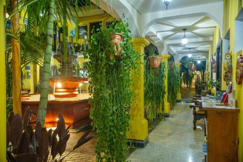 危地马拉安地瓜Posada San Vicente by AHS的墙上有大量植物的餐厅