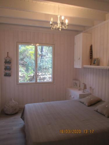 Le Canonune maison lumineuse sous les pins的一间卧室设有床、窗户和水槽