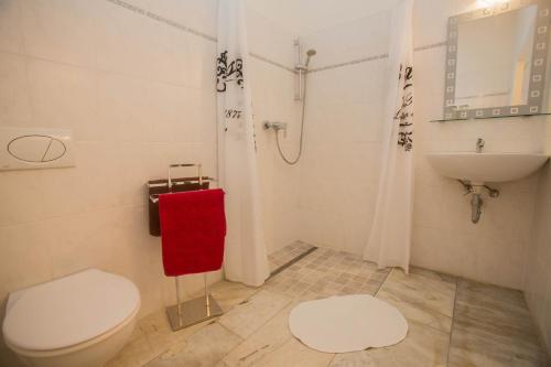 利托梅日采木屋酒店的一间带卫生间和水槽的浴室