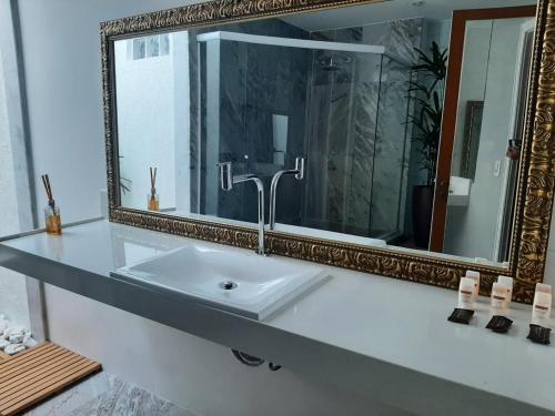 里约热内卢波萨达瓜纳巴拉花园酒店的一间带水槽和镜子的浴室