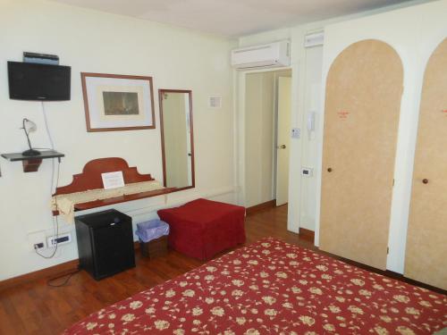 威尼斯卡德多赛酒店的一间客厅,配有红色地毯和镜子