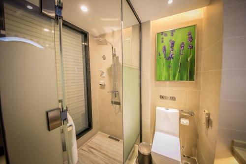 麗枫酒店·三亚步行街店的一间浴室