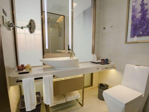 广州麗枫酒店·佛山碧江轻轨碧桂园总部店的一间带水槽、卫生间和镜子的浴室