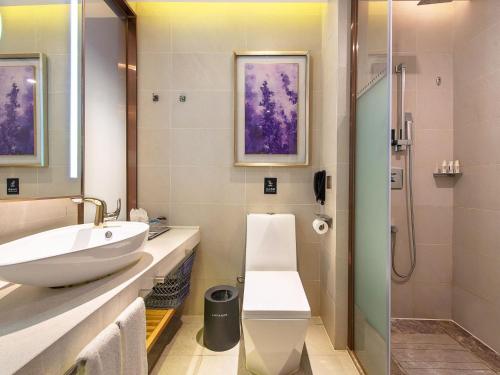 广州麗枫酒店·广州北京路步行街海珠广场地铁站店的一间带水槽、卫生间和淋浴的浴室