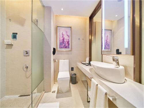 佛山麗枫酒店·佛山西站罗村店的一间带水槽、卫生间和淋浴的浴室