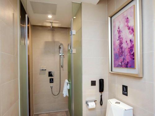 麗枫酒店·重庆西站巴国城店的一间浴室