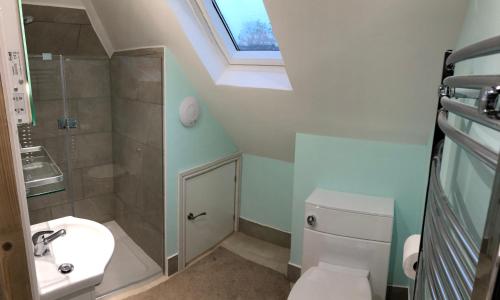 迪德科特The Annex, Manor Road, Didcot的浴室配有卫生间、淋浴和盥洗盆。