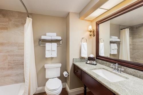 退休小镇水滨旅馆的一间带卫生间、水槽和镜子的浴室