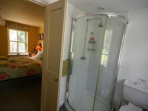 阿尔维斯考特Garden Cottage的带淋浴和卫生间的浴室以及1张床