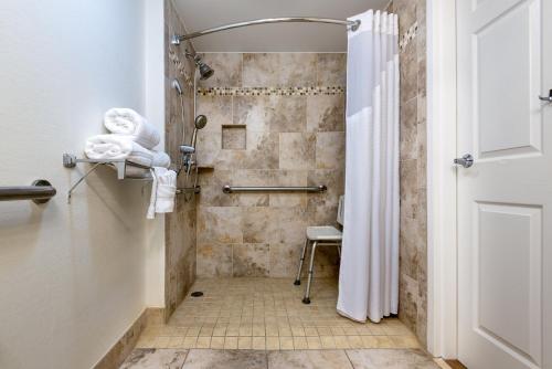 好莱坞劳德代尔堡机场假日酒店的带淋浴和浴帘的浴室