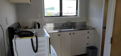 旺阿雷赛普拉斯苑汽车旅馆的一间带水槽和冰箱的小厨房