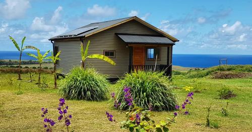 安加罗阿Maunga Roa Eco Lodge的花田里的一个小房子