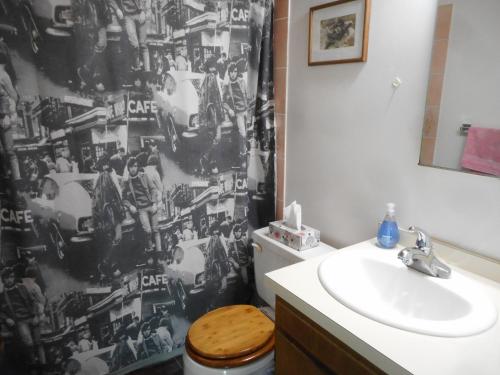 怀特霍斯Queen, walk to village center的浴室设有卫生间、水槽和淋浴帘