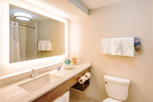 查尔斯顿查尔斯顿美国高速公路17 & I-526智选假日酒店 的一间带水槽、卫生间和镜子的浴室