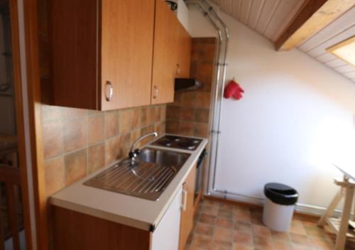 威拉尔-苏-罗伦Maison de Montagne Bretaye的一间带水槽和炉灶的小厨房