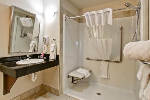 Tisdale提斯代尔卡纳尔塔酒店的带淋浴、盥洗盆和卫生间的浴室
