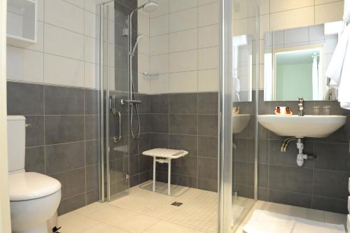 阿斯帕朗Relais Des Tilleuls的带淋浴、卫生间和盥洗盆的浴室