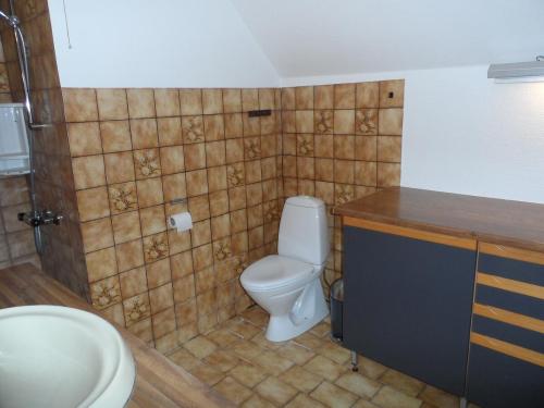 韦斯特维Logi i hus med kunst og have的一间带卫生间和水槽的浴室