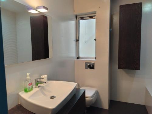 姆西达University Area Msida的一间带水槽、卫生间和镜子的浴室