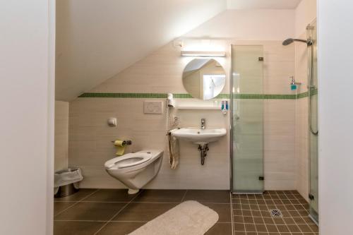 NovacellaHotel Brückenwirt的一间带水槽、卫生间和淋浴的浴室