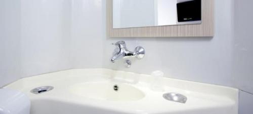 沙勒维尔-梅济耶尔普瑞米尔夏尔勒维勒梅兹耶尔经典酒店的浴室设有白色水槽和镜子