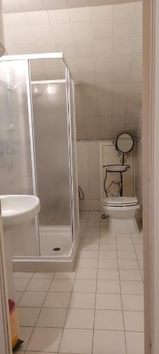 奥维多多莫早餐加住宿旅馆的带淋浴和卫生间的浴室