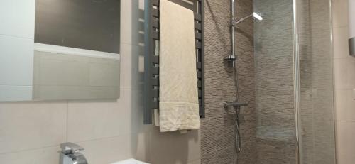 苏安塞斯Apartamento Mar deluxe Suances的带淋浴的浴室和玻璃门
